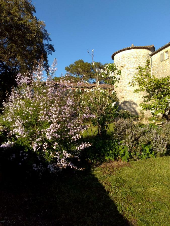 Chateau De Rousson Exterior foto